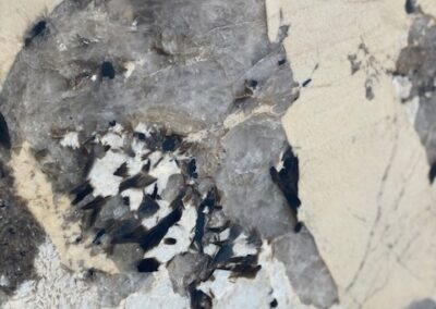 Patagonia Granite | Superior Granite