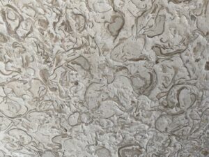 Shell Rhapsody | Superior Granite