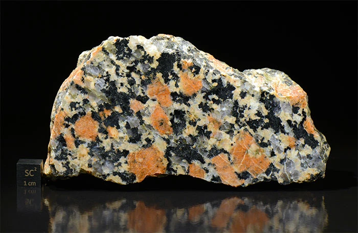 Polished granite slab with orange and black minerals for coastal Florida countertop selection