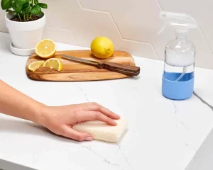 Quartz Countertop Cleaning