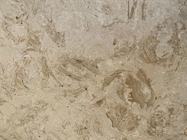 Shell Reef | Superior Granite