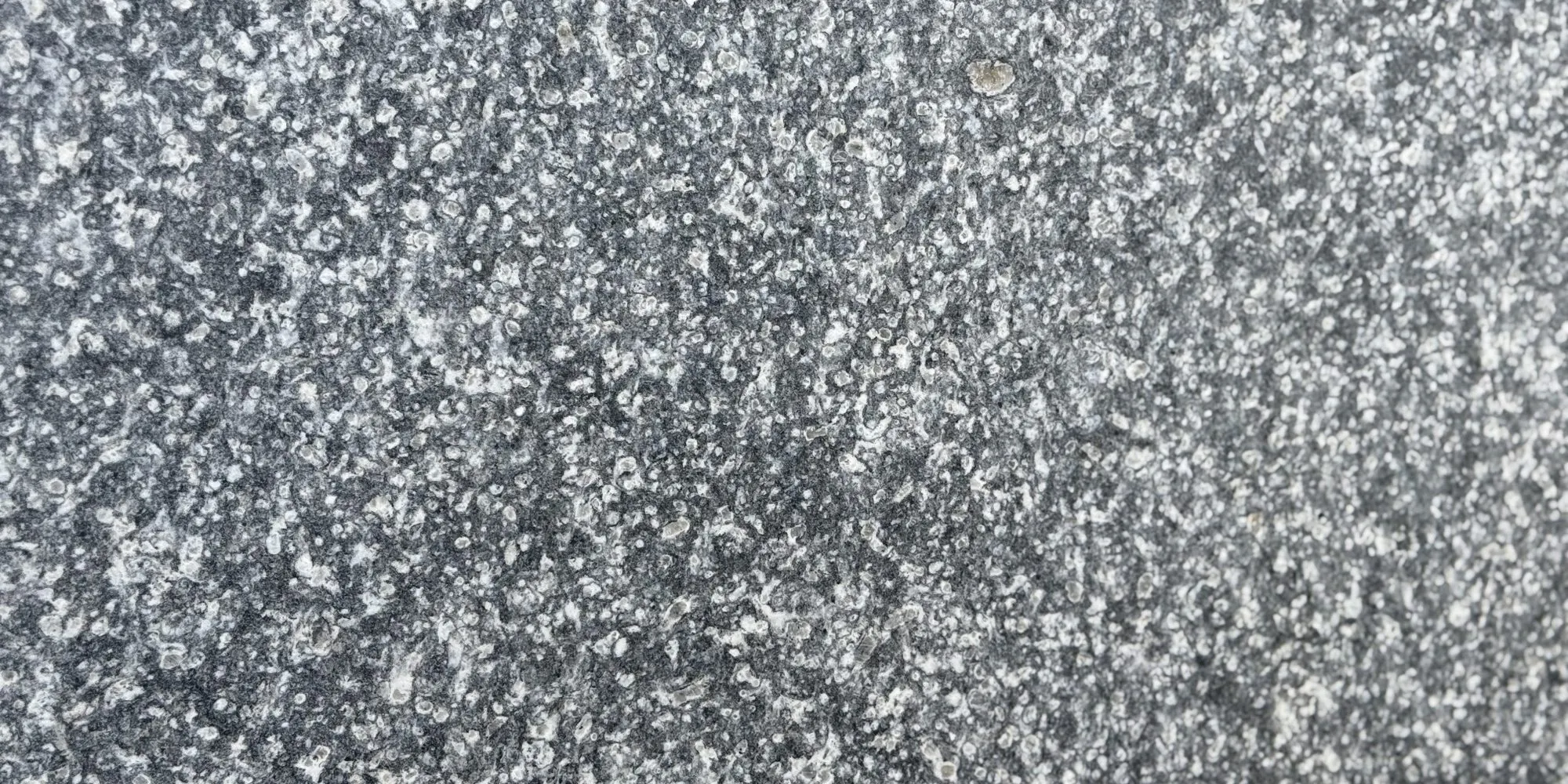 Black Nevado