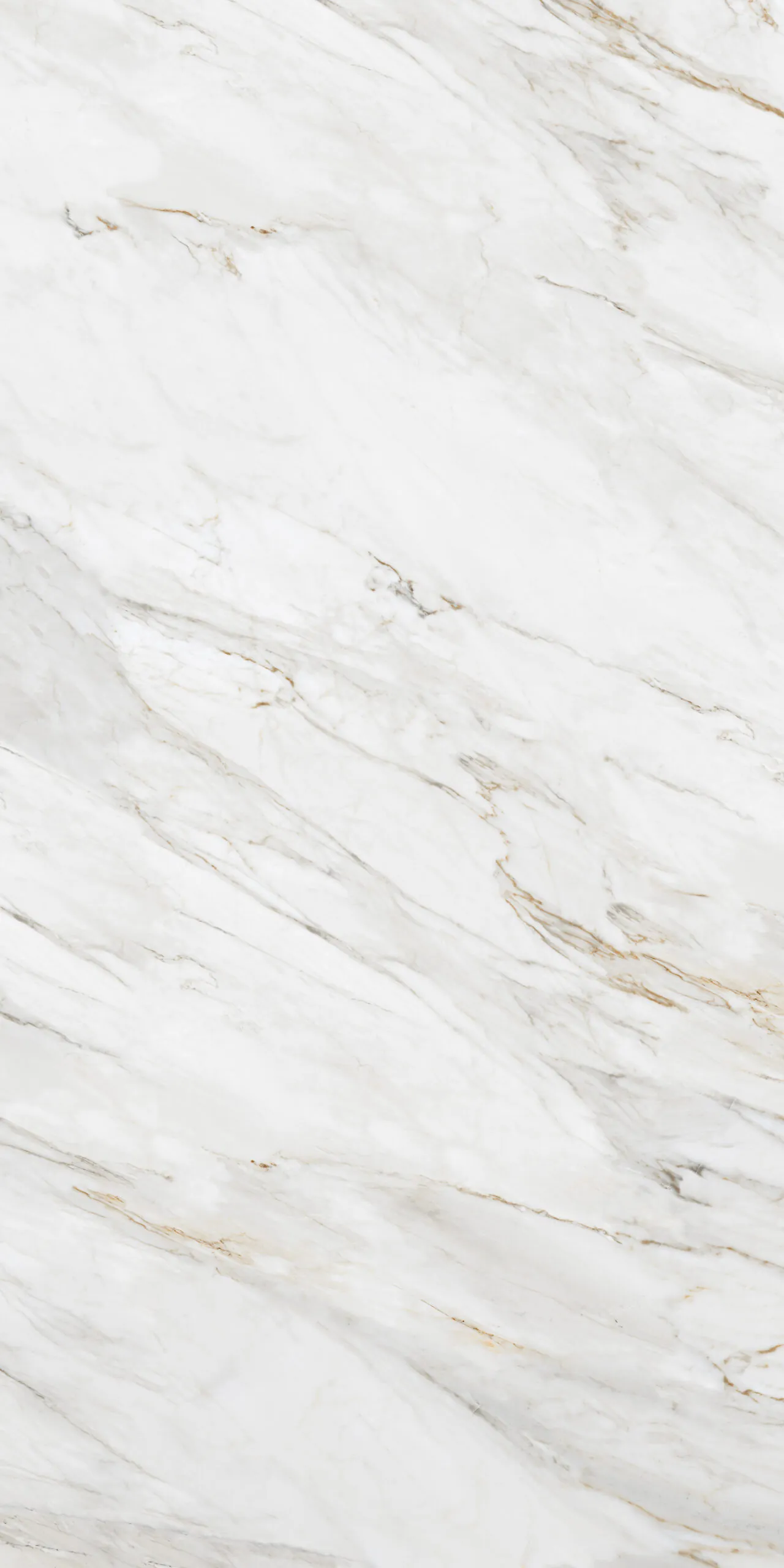 Calacatta Borghini