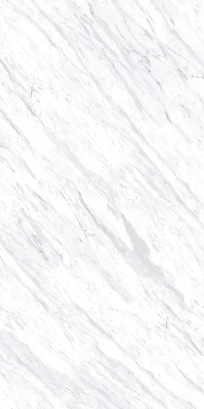 Carrara Honed Carrara Honed