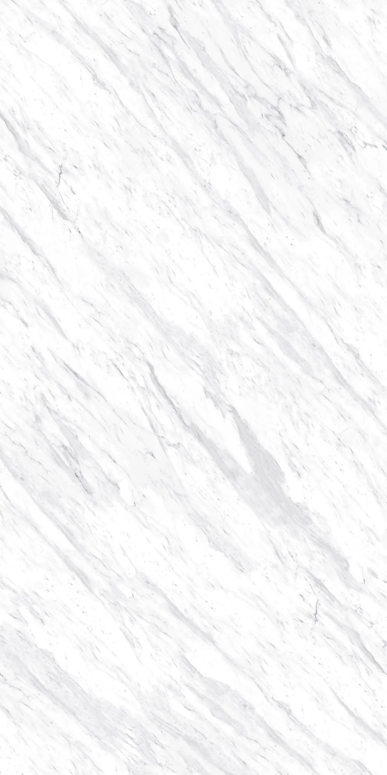 Carrara Honed
